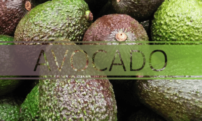 best.avocado nutritional diversity