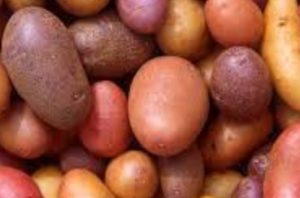 potato-benifits-nutritional-diversity