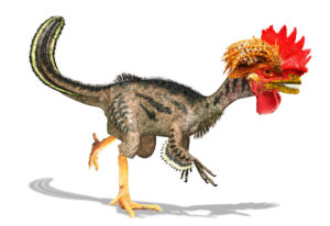 dinochicken-nd