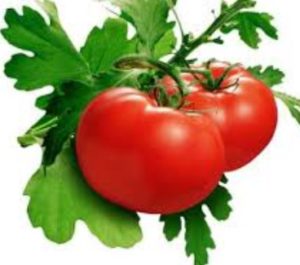 tomato-nutritional-diversity-tomatoes