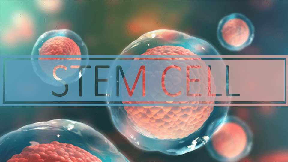 best stem cell treatment in usa best stem cell treatment in usa