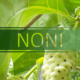 best noni fruit