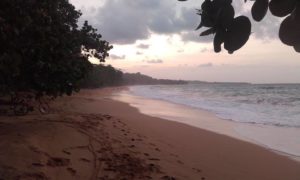 Bocas Del Toro Bluff Beach Isla Colon