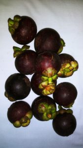 Mangosteen 