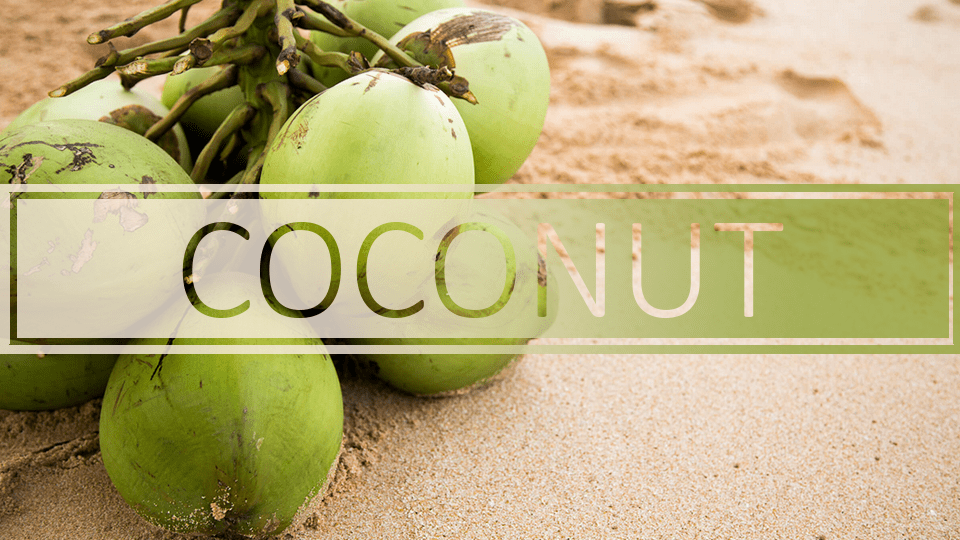 Best Coconut, Rankings, Benefits, Side Effects & Experience