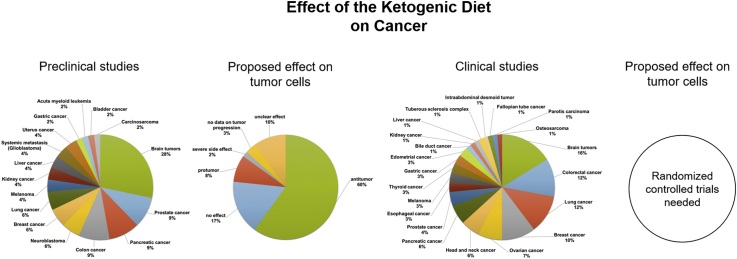 Best Keto Shake 4 Cancer