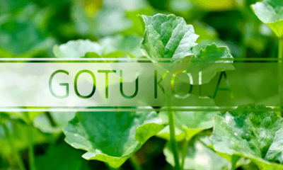 gotu kola diverse diet