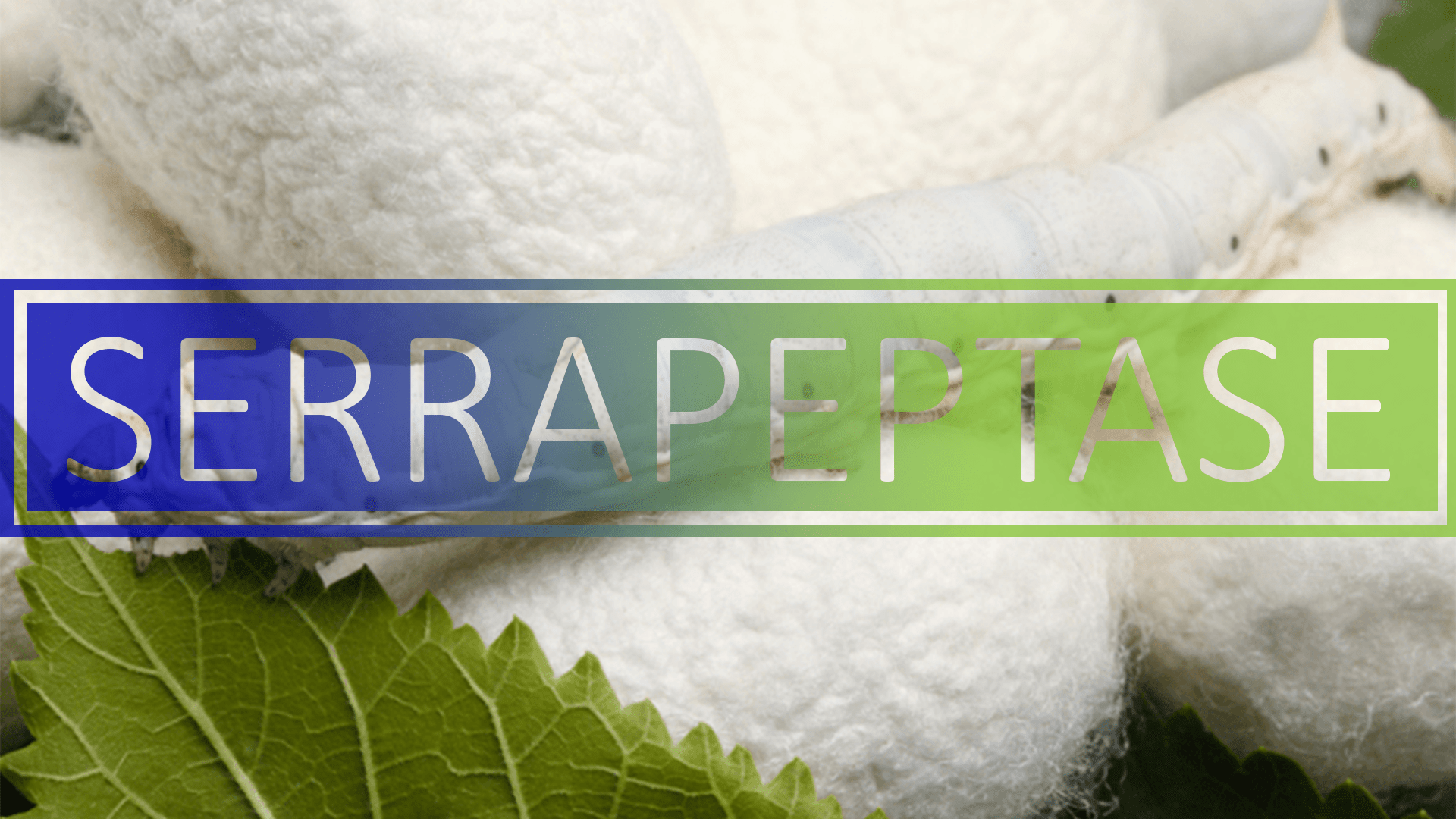 Best Serrapeptase Rankings, Benefits, Side Effects & Experience