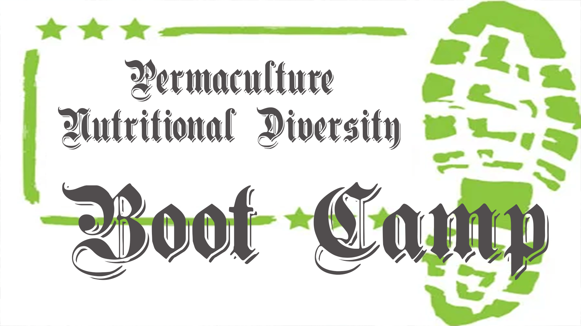 Best Permaculture Bootcamp