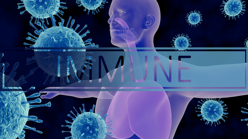 Best Immune System Booster Rankings, Benefits & Experience