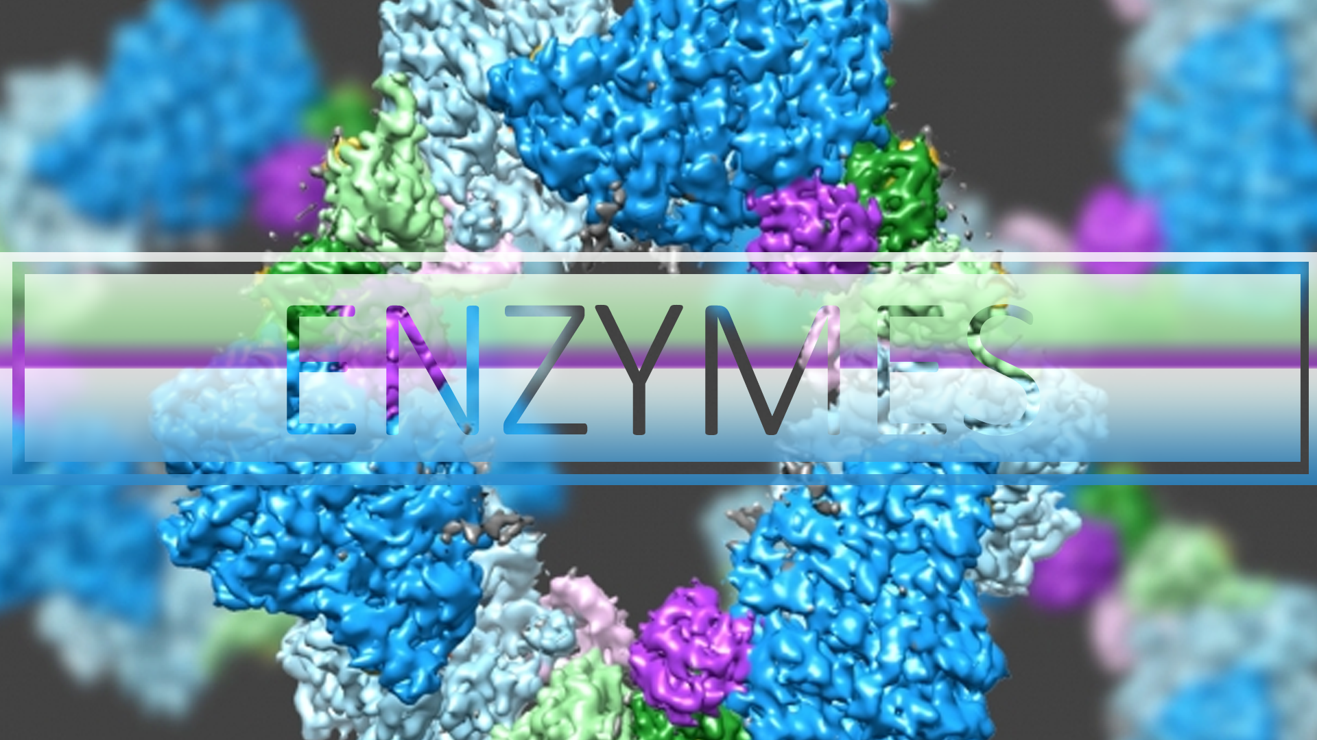 Best Digestive Enzymes Ranking, Benefits, Side Effects & Experience