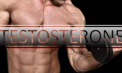 best testosterone supplements