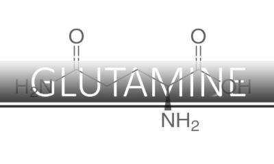 best glutamine