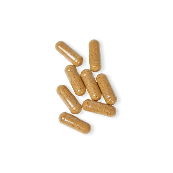 Premium Mushroom Blend - Image 6