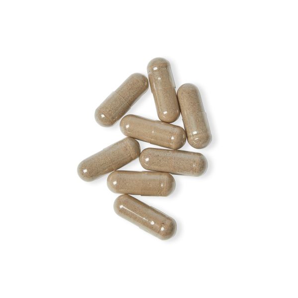 Sea Moss - Image 4